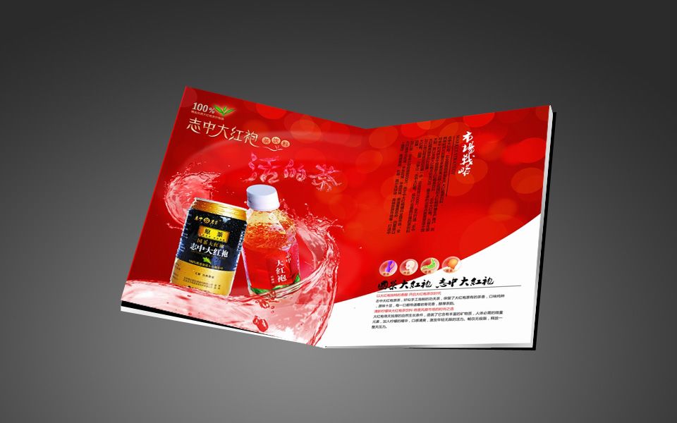 飲料招商畫(huà)冊(cè)設(shè)計(jì)