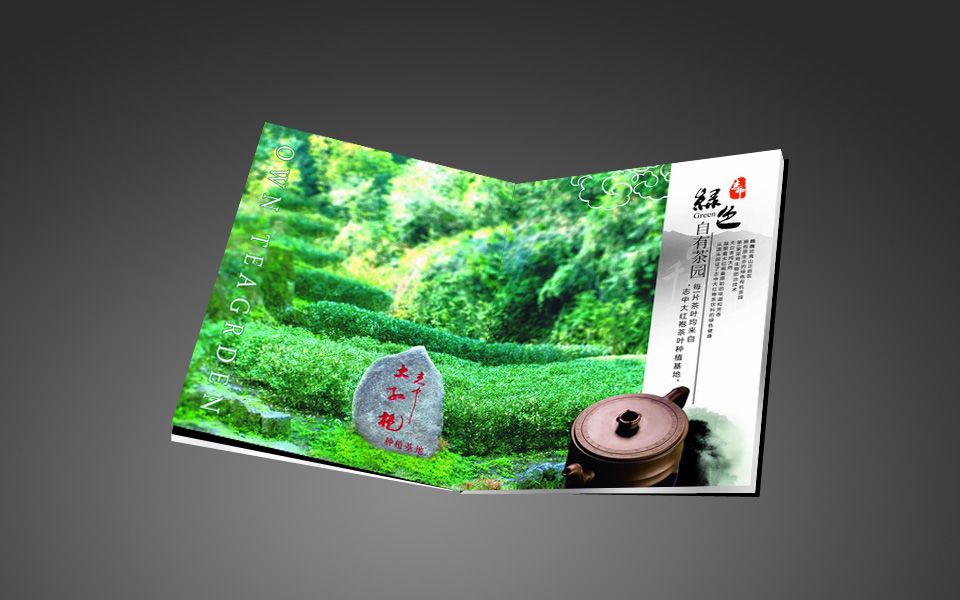 飲料招商畫(huà)冊(cè)設(shè)計(jì)