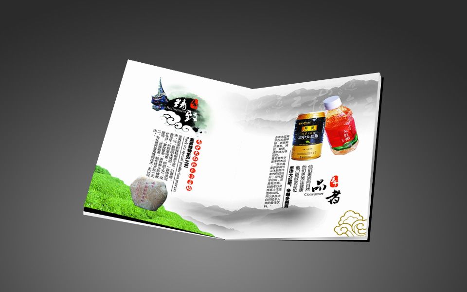 飲料招商畫(huà)冊(cè)設(shè)計(jì)