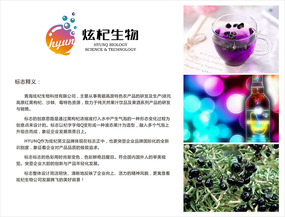 炫杞生物品牌VI設(shè)計 炫杞生物品牌VI設(shè)計